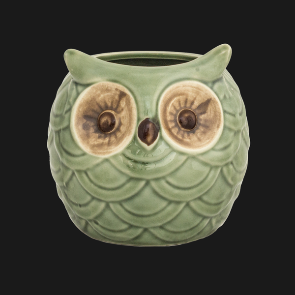 Buho Tiki